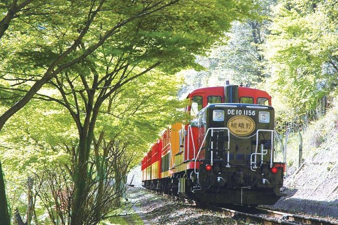 Sagano Romantic Train & Arashiyama, Kiyomizudera, Fushimi Inari Taisha Day Tour - Stop 2: Arashiyama, Bamboo Sound, and Togetsukyo on Katsura River