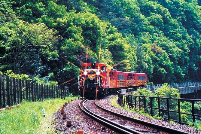 Sagano Romantic Train & Arashiyama, Kiyomizudera, Fushimi Inari Taisha Day Tour - Sagano Romantic Train: A 25-Minute Break on the Hozugawa River