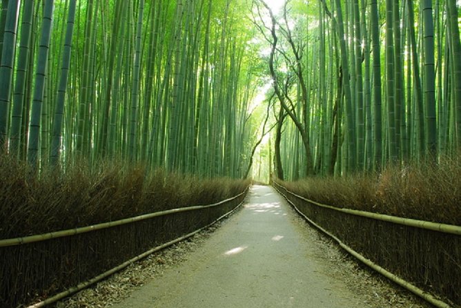 Sagano Romantic Train & Arashiyama, Kiyomizudera, Fushimi Inari Taisha Day Tour - Price and What You Actually Get for $82.78