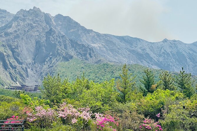 Sakurajima Century Lava Climb Journey with E-bike - Starting at Sakurajima Visitor Center, where the day gets real