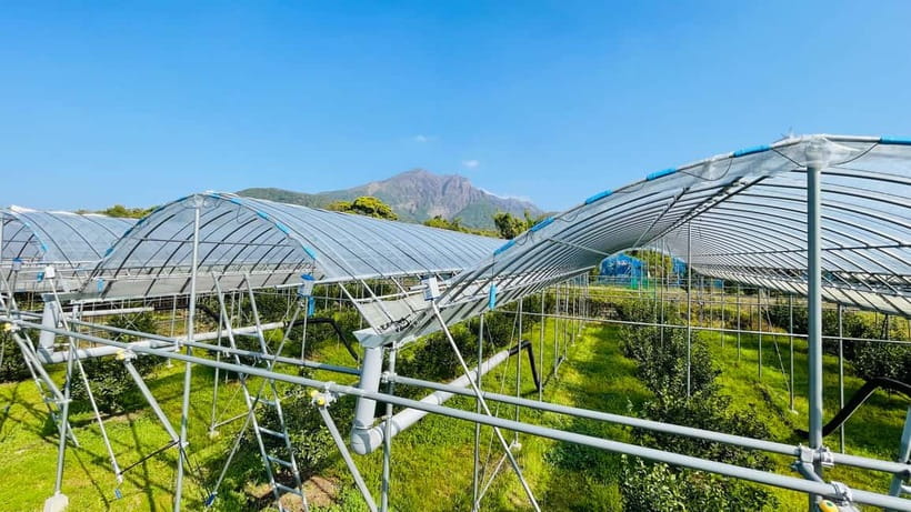 Sakurajima Century Lava Climb Journey with E-bike - Weather, ash, and what to pack beyond the basics