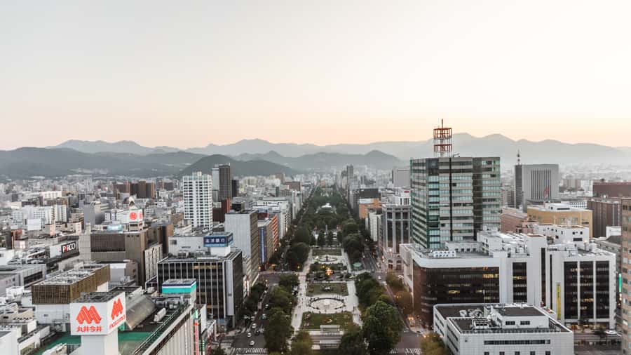 Sapporo: Custom Highlights and Hidden Gems Tour with a Local - Neon-lit neighborhoods and side streets, the fun part of customization
