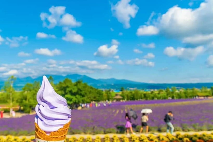 Sapporo: Furano Flower Sea & Biei Blue Pond Tour w/ Pickup - Roller Coaster Road: Train Your Eye, Then Shoot From the Window