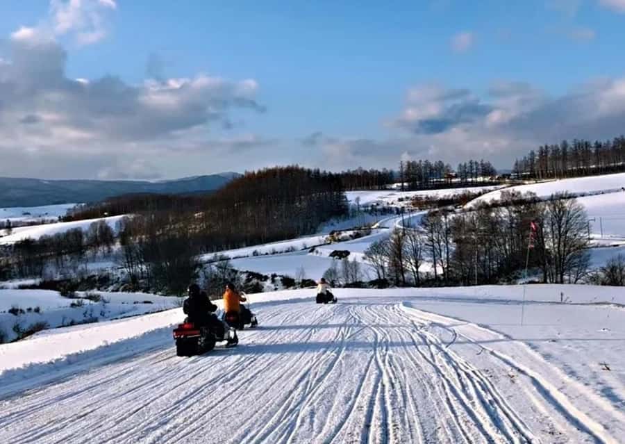 Sapporo: Furano Lavender & Biei Blue Pond Tour with Lunch - How the guide experience can feel different day to day