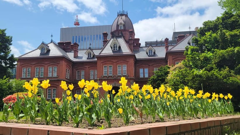 Sapporo Highlights: Golden Route Morning Guided Walking Tour - Red Brick Government Building: ending on Sapporo’s most photo-ready power spot