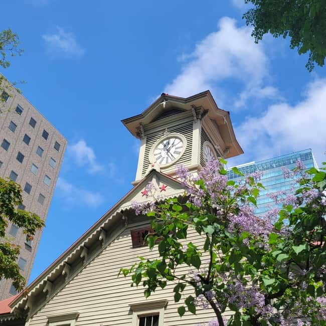 Sapporo Highlights: Golden Route Morning Guided Walking Tour - Meeting at Sapporo TV Tower, what to do first