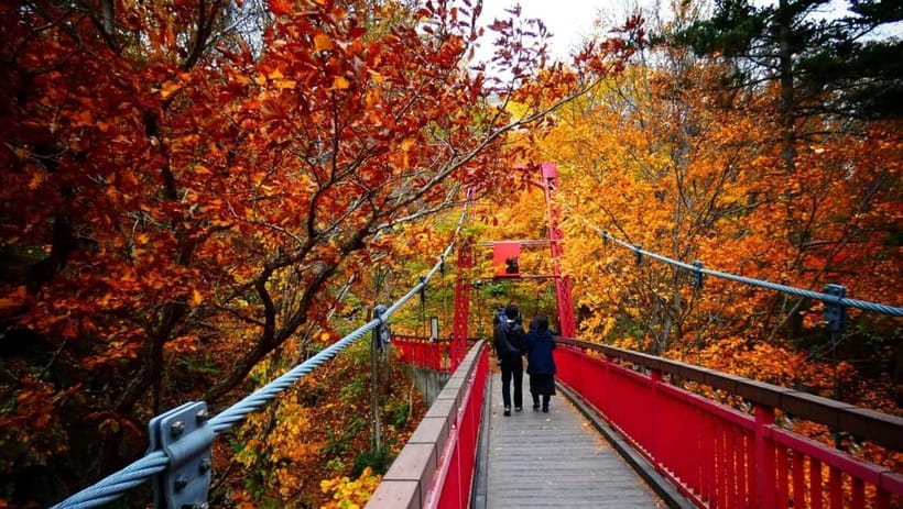 Sapporo: The Indigenous Ainu People & Jozankei walking tour - Jozankei hot spring village, shrines and parks on foot