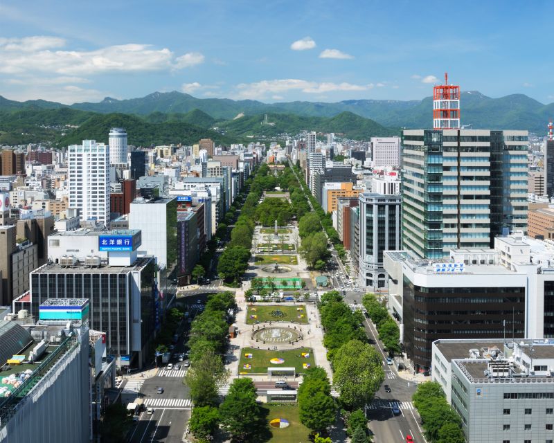 Sapporo TV Tower Admission Ticket - What you will see: Sapporo panoramas plus Odori Park seasonal flowers