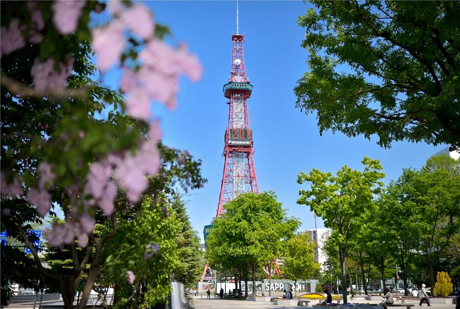 Sapporo TV Tower Admission Ticket - Festival season advantage: watching Yosakoi, Snow Festival, and White Illumination