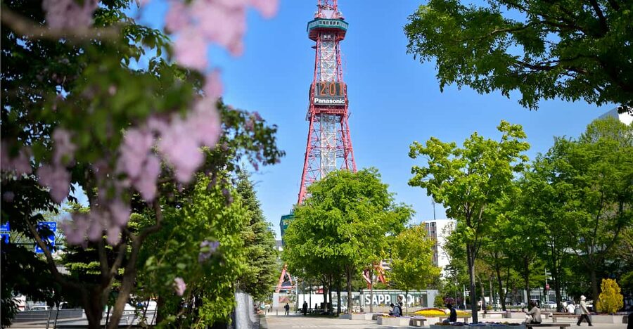 Sapporo TV Tower Admission Ticket - The value question: how $6 buys real convenience