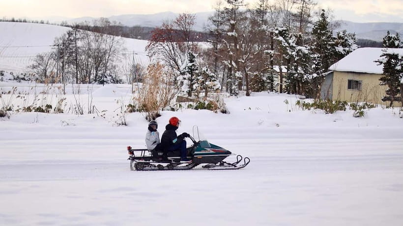 Sapporo Winter : Asahiyama Zoo (Penguin Fun & Snowmobile) - The Tree of Ken and Mary: quick in-vehicle photo time