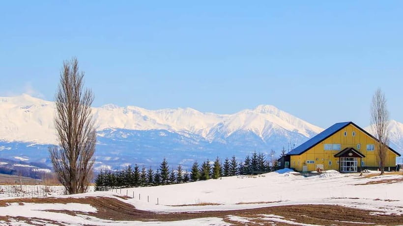 Sapporo Winter : Asahiyama Zoo (Penguin Fun & Snowmobile) - Optional snowmobile fun: pricing, cold-season rules, and the best way to plan
