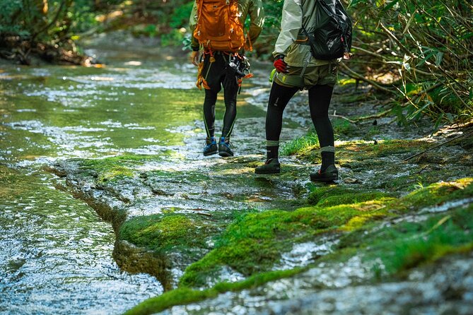 Sawanobori River Trekking Tour - What the River Trek Actually Feels Like