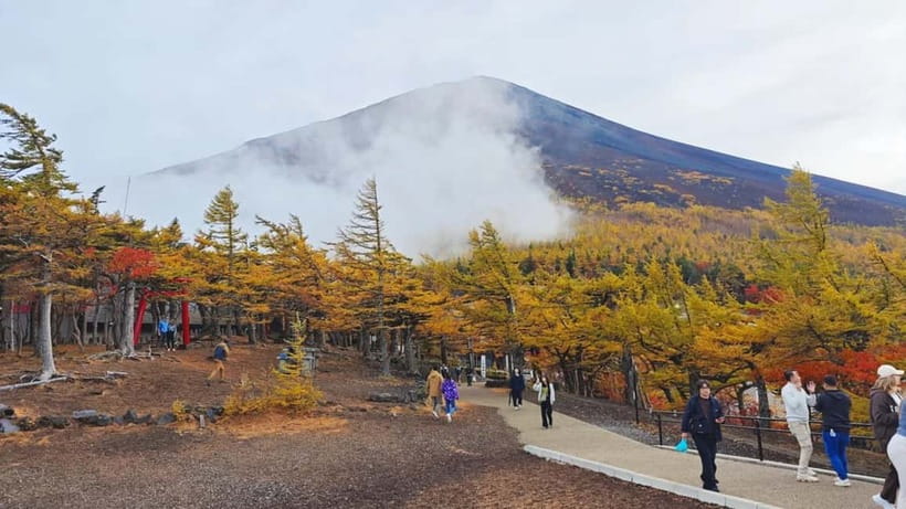 [Seasonal Limited] Mt. Fuji 5th Station &Hot Spring Day Tour - A gentle Mt. Fuji day trip, built for photos and a real soak