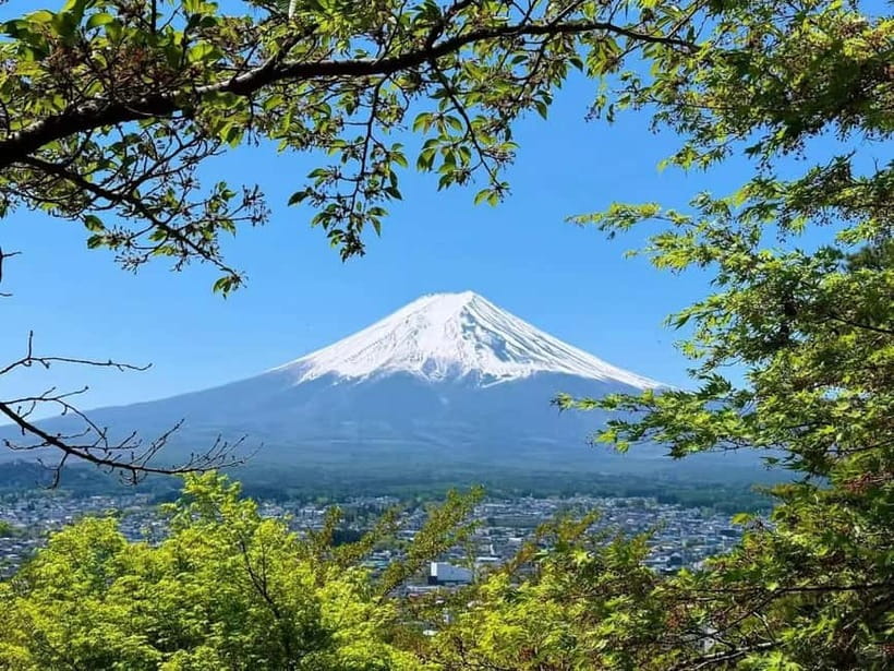[Seasonal Limited] Mt. Fuji 5th Station &Hot Spring Day Tour - Konohananoyu Onsen: Fuji views from both indoor and open-air baths