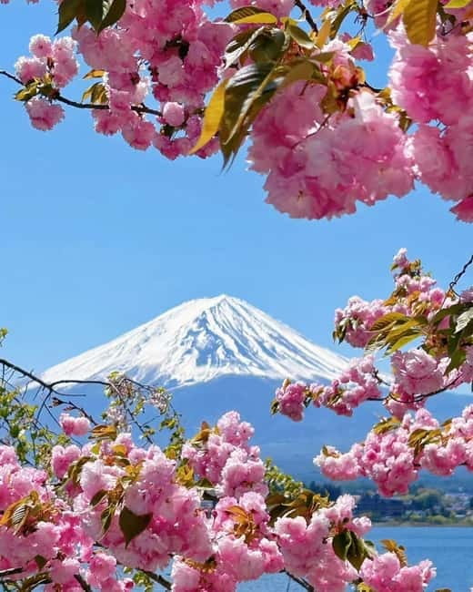[Seasonal Limited] Mt. Fuji 5th Station &Hot Spring Day Tour - Timing, bus rides, and why weather matters on Fuji days