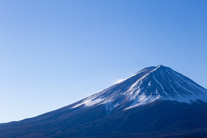 Seasonal Mt. Fuji Scenic Views, Fruit Picking and Ropeway Ride! - From Shinjuku to Fuji, Why the Morning Matters