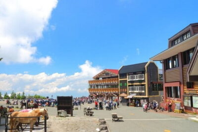 Seasonal Mt. Fuji Scenic Views, Fruit Picking and Ropeway Ride!