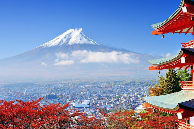 Seasonal Mt. Fuji Scenic Views, Fruit Picking and Ropeway Ride! - Fruit Picking After Lunch: The Fun Part With Real-World Limits