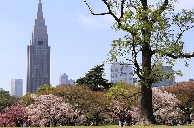 Shared Departure Transfer : Central Tokyo Hotel to Haneda Airport - Comfort, communication, and language expectations