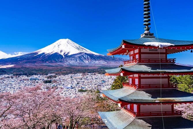 Shibuya Go Karting Tour with Funny Costume - Height, Weight, and Who Might Need to Skip This