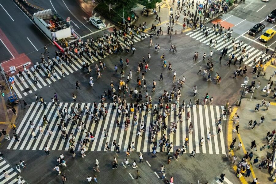 Shibuya & Harajuku: Hidden Gems & Highlights Private Tour - Walking logistics: what the 2 to 6 hours means in real life