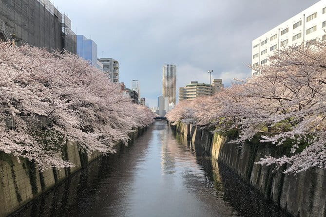 Shinjuku: Food Tour – 15 Dishes & 3 Drinks at 4 Eateries - Shoes, Etiquette, and Surviving Small-Counter Dining