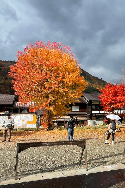 Shirakawa-go UNESCO Half-Day Tour from Takayama - Price and value: what you are actually paying for at $103