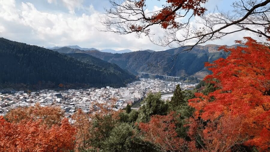 Shirakawago&HidaTakayama&GujoHachiman 1 Day Tour from Nagoya - Group day reality: timing rules, schedule changes, and who should choose this