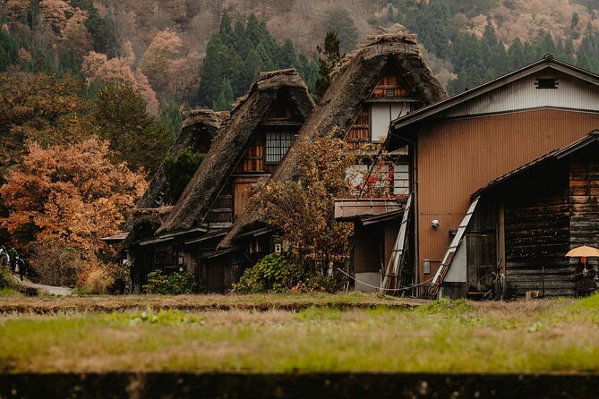 Shirakawago & Kanazawa from Kanazawa - Key Highlights You’ll Feel in This 8.5-Hour Day