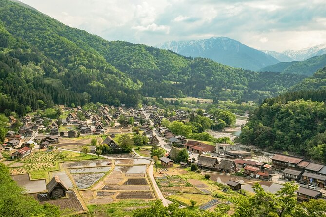 Shirakawago & Kanazawa from Kanazawa - Who This Tour Suits Best (And Who Should Pick Something Else)