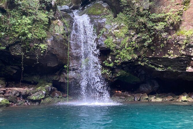 Shizuoka: Advanced Canyoning Activity near Mt. Fuji - Rope rappelling: the part that feels technical in the best way