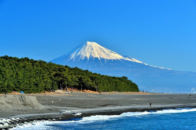 Shizuoka/Shimizu Mt Fuji View 6 hr Private Tour: Guide Only - Key highlights you should know