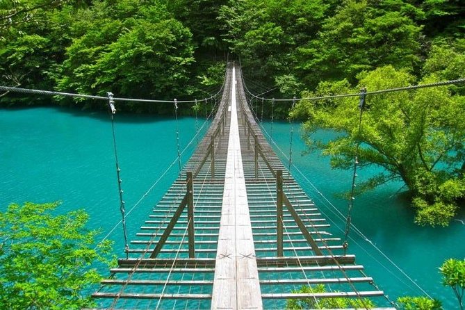 Shizuoka/Shimizu Mt Fuji View 6 hr Private Tour: Guide Only - Value at $155.26 per person, and when it is worth it