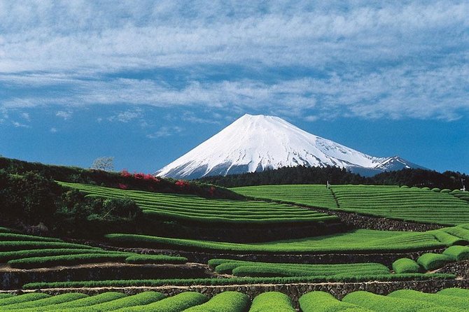 Shizuoka/Shimizu Mt Fuji View 6 hr Private Tour: Guide Only - Mt. Fuji World Heritage Centre: the story behind the mountain