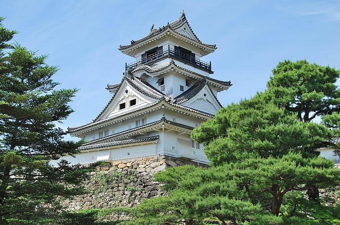 Shore Excursion Full Day Private Kochi Tour from Kochi port - Stop 1: Kochi Castle Main Keep, Panoramic Views in About 2 Hours