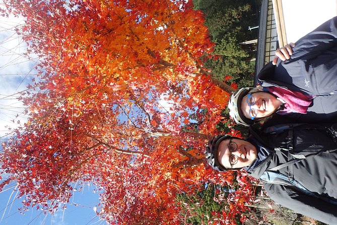Short Morning Cycling Tour in Hida - The 10:15 Start and the 2.5-Hour Rhythm You Can Actually Manage
