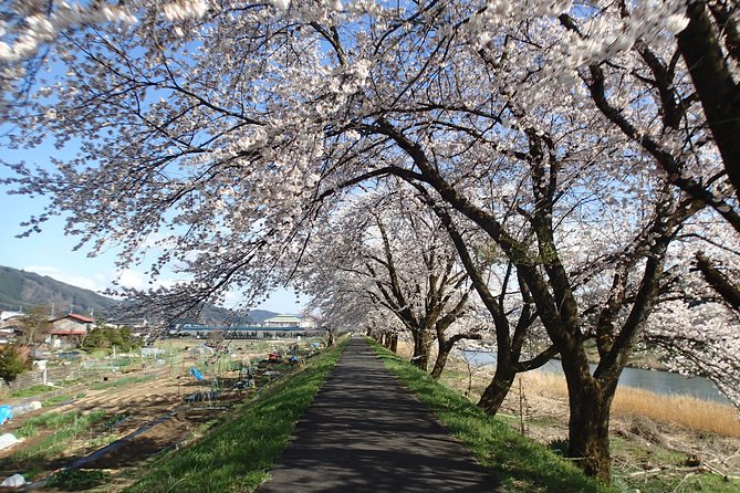 Short Morning Cycling Tour in Hida - Meeting Locals: Why the Human Stops Make the Difference