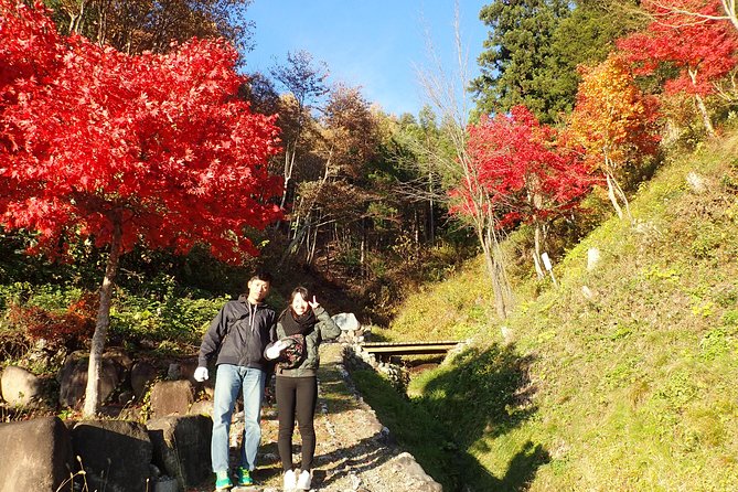 Short Morning Cycling Tour in Hida - Price and Value: Is $161.18 Really Fair for a 2.5-Hour Tour?