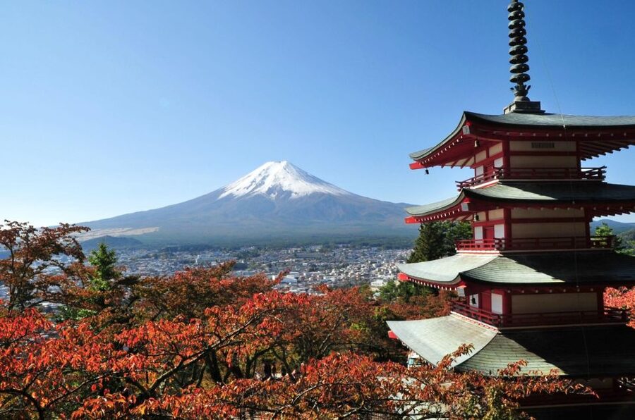 Sightseeing Day Trip to Mount Fuji and Hakone Green Number - Key points to know before you go
