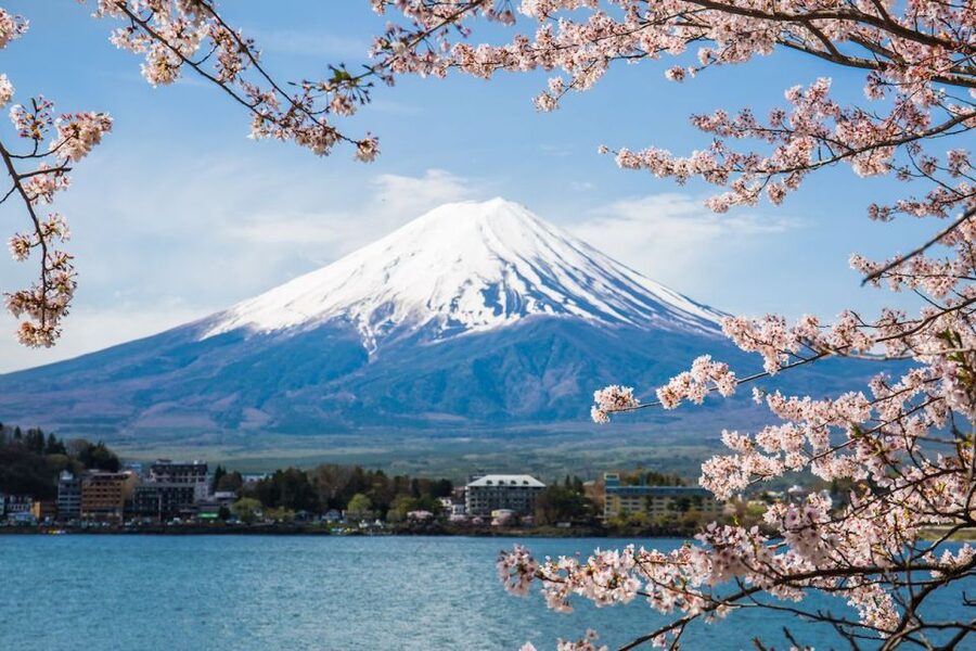 Sightseeing Day Trip to Mount Fuji and Hakone Green Number - Kachi Kachi Ropeway and Oishi Park, picture spots with a smooth flow