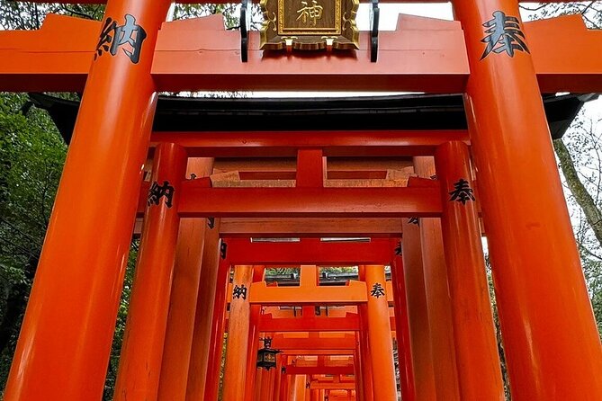 Single- & multi-day Adventures within Kyoto Nara Osaka Kobe - Key things I focused on before you book