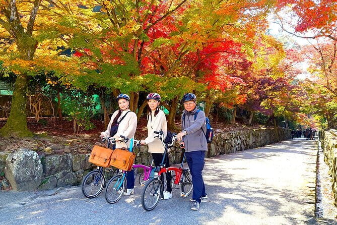 Slow Cycling Tour at Uji's Matcha Green Tea Fields and Heritage - Key highlights you’ll feel immediately