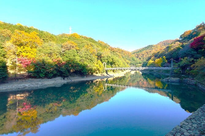 Slow Cycling Tour at Uji's Matcha Green Tea Fields and Heritage - Price check: what $130.46 really covers