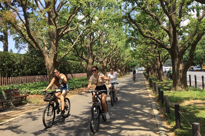 Small Group Cycling Tour in Tokyo - Stop 5, Shiodome Lunch Break and Tokyo Bay Views from Above