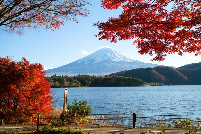Small Group Tour Mount Fuji and Lake Kawaguchi from Tokyo - How the tour handles traffic and weather without falling apart