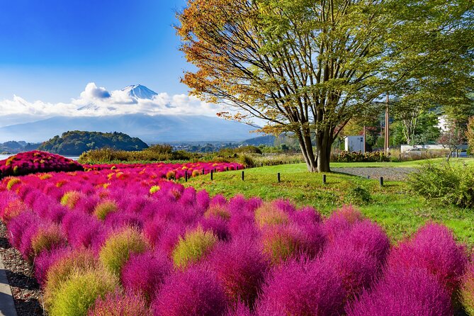 Small Group Tour Mount Fuji and Lake Kawaguchi from Tokyo - Arakurayama Sengen Park: Chureito Pagoda and Fuji shrine time