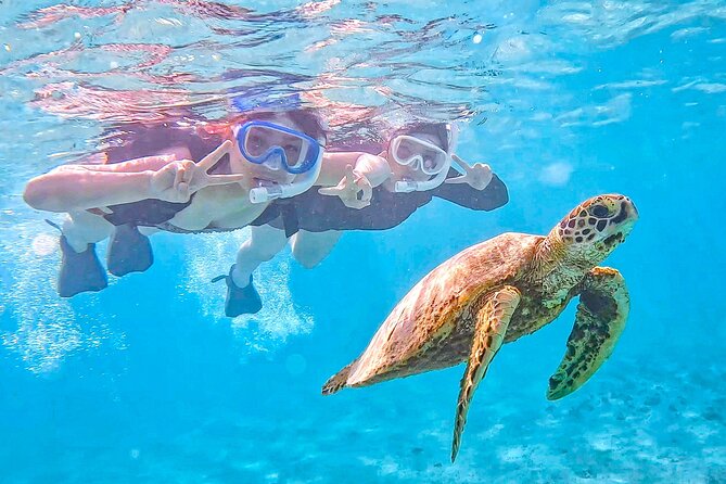 Snorkeling Activity in Okinawa Miyako Japan - Key highlights before you go