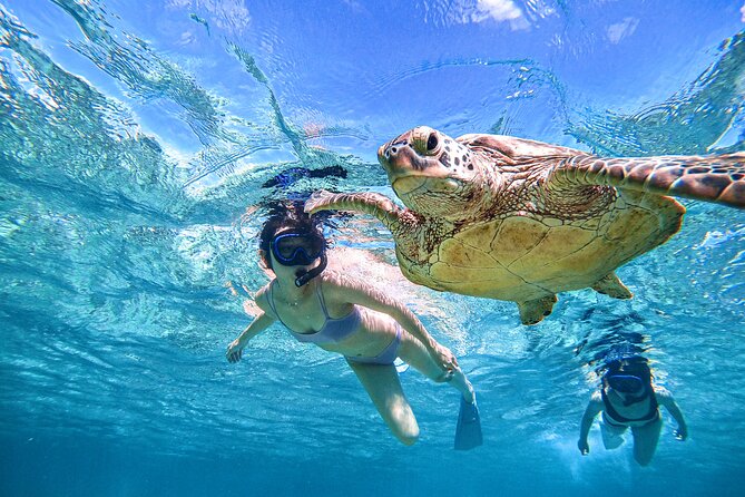 Snorkeling Activity in Okinawa Miyako Japan - Miyakojima sea turtle snorkeling, and why the guide matters