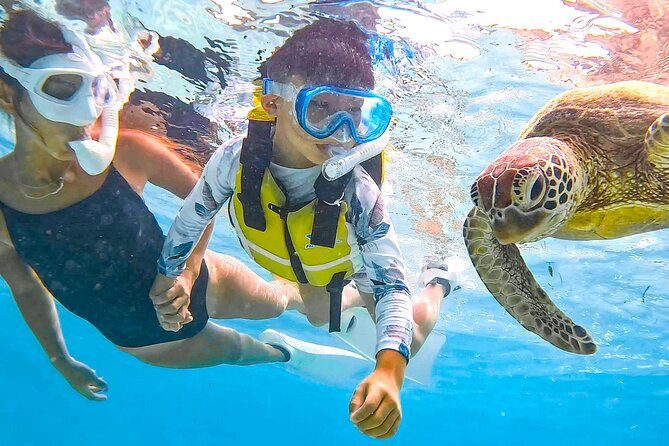 Snorkeling Activity in Okinawa Miyako Japan - Sea turtles, fish action, and how photo-focused guiding changes the trip